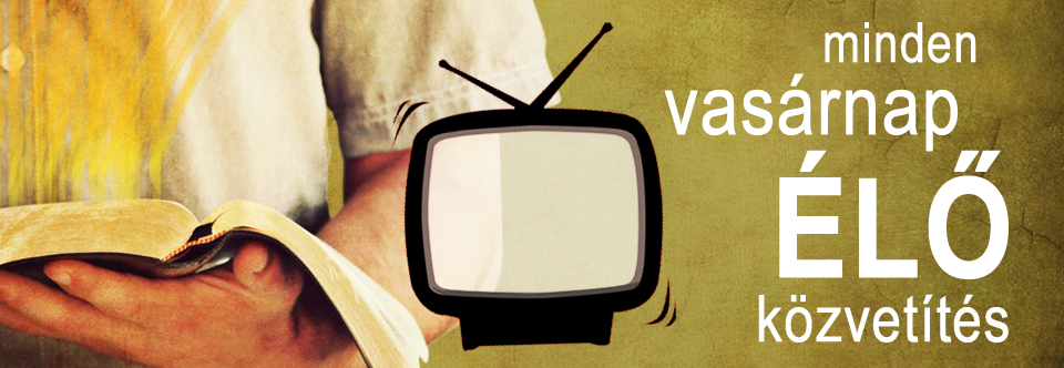 2017. 15. 14. – Délelőtti – Illyés Zsuzsa – 1Móz 3, 9