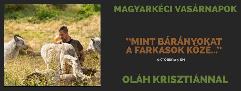 2017.10.29. – Istentisztelet – Oláh Krisztián – Ef 6,10-12