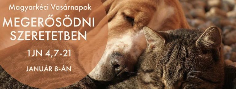 2017. 01. 08. – Délelőtti alkalom – Mike Pál – 1Jn 4, 7-21