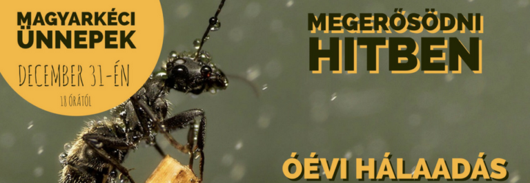 2016. 12. 31. – Mike Pál – Óév