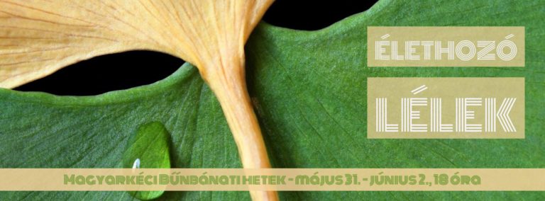 2017. 06.02. – Bűnbánati alkalom – Mike Pál -ApCsel 2, 17-21