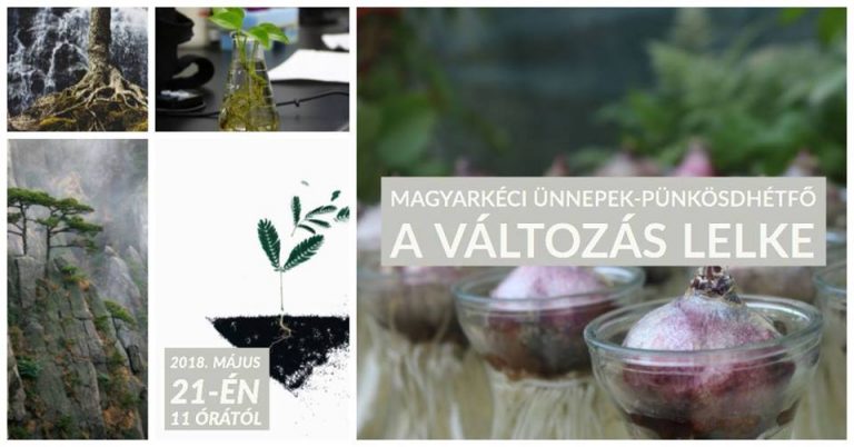 2018. 05. 21. – Pünkösdhétfő – Istentisztelet – Mike Pál  – Gal 5,16-18.22-23
