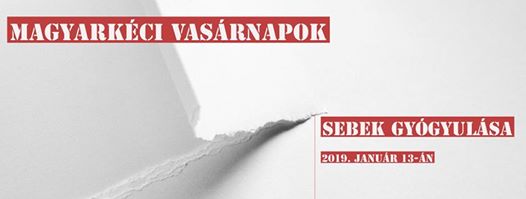 2019.01.13. – Istentisztelet – Sebek gyógyulása
