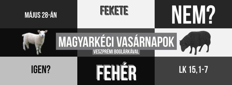 2017.05.28. – Délelőtti alkalom – Veszprémi Boglárka – Lk 15, 1-7